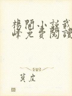 杨开小说武炼巅峰免费阅读