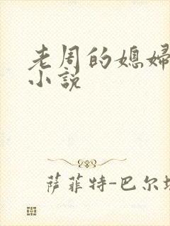 老周的媳妇赵青小说