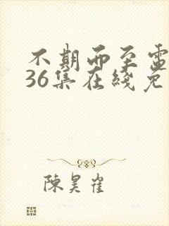 不期而至电视剧36集在线免费观看