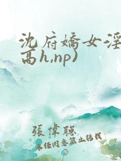 沈府娇女淫史(高h,np)