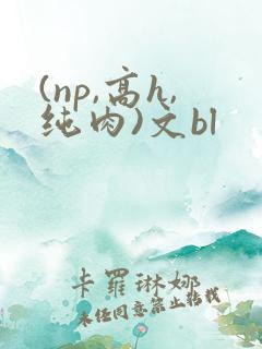 (np,高h,纯肉)文bl