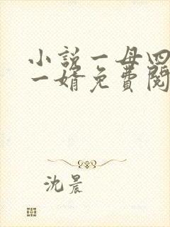 小说一母四女共一婿免费阅读