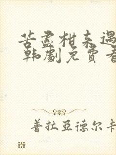 苦尽柑来遇见你 韩剧免费看