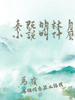 秦既明林月盈的小说叫什么名字