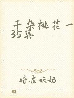 千朵桃花一世开35集