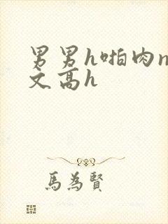 男男h啪肉np文高h