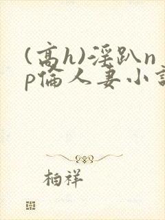 (高h)淫趴np伦人妻小说