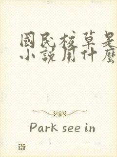 国民校草是女生小说用什么app可以免费