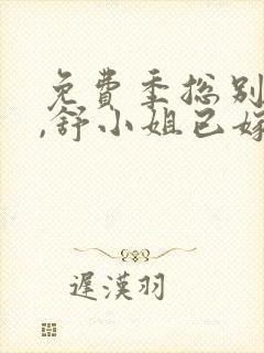 免费季总别虐了,舒小姐已嫁人小说