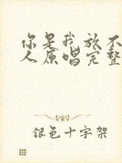 你是我放不下的人原唱完整版