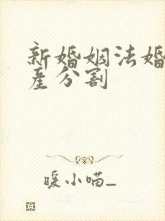 新婚姻法婚前房产分割