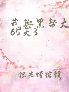 我与黑帮大佬365天3