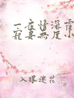 一夜情深霍先生宠妻无度小说
