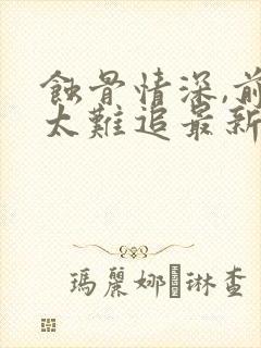 蚀骨情深,前妻太难追最新版