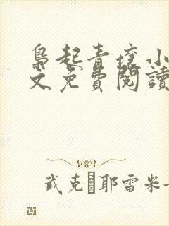 枭起青壤小说全文免费阅读