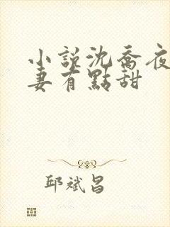 小说沈乔夜少娇妻有点甜