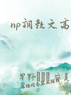 np调教文高h