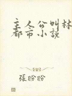 主人公叫林北的都市小说