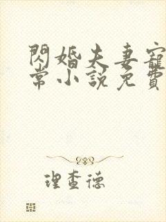 闪婚夫妻宠娃日常小说免费看