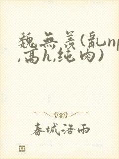 魏无羡(乱np,高h,纯肉)