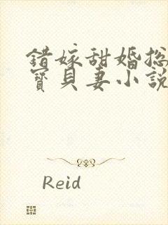 错嫁甜婚总裁的宝贝妻小说完整