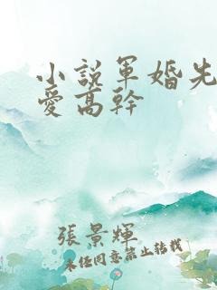 小说军婚先婚后爱高干