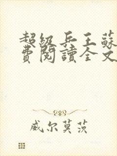 超级兵王苏辰免费阅读全文