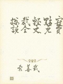 总裁轻点宠一小说全文免费阅读