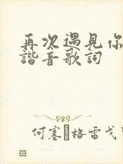 再次遇见你中文谐音歌词