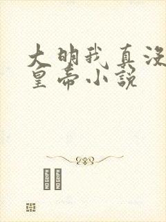 大明我真没想当皇帝小说