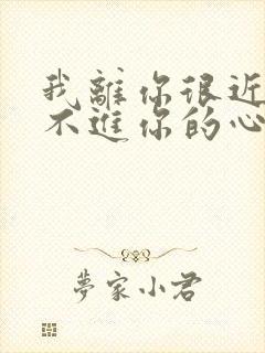 我离你很近却走不进你的心什么歌