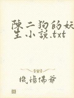 陈二狗的妖孽人生小说.txt