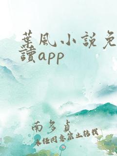 叶风小说免费阅读app