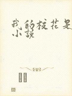 我的校花是姐姐小说