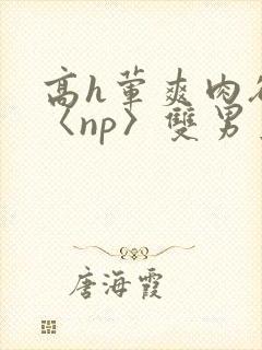 高h荤爽肉欲文〈np〉双男主