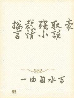 总裁强取豪夺的言情小说