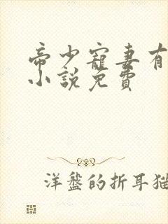 帝少宠妻有点甜小说免费