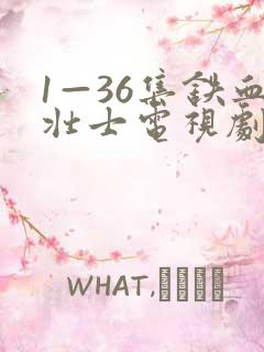 1—36集铁血壮士电视剧免费观看