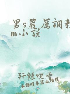 男s严厉调教女m小说