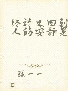 终于又回到一个人的安静是什么歌