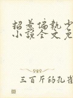 招惹偏执少年后小说全文免费阅读