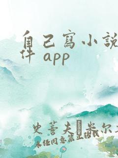 自己写小说的软件 app