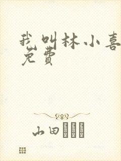 我叫林小喜全文免费