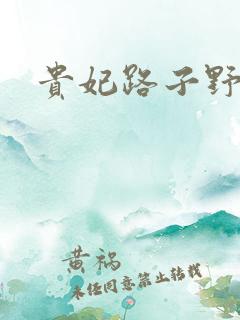 贵妃路子野短剧