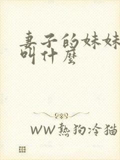 妻子的妹妹丈夫叫什么