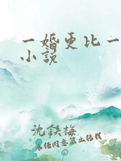 一婚更比一婚高小说