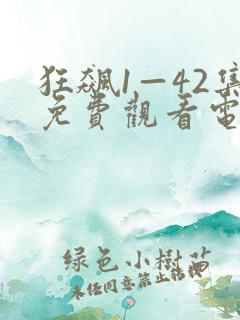 狂飙1—42集免费观看电视剧