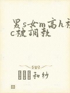 男s女m高h被c被调教