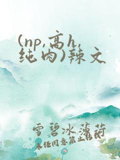 (np,高h,纯肉)辣文