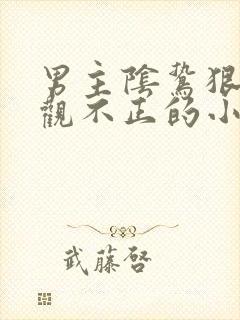 男主阴鸷狠戾三观不正的小说